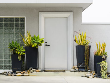 10 načina da ukrasite ulazna vrata biljkama