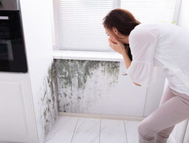 Ventilacija u domu: Zašto ugradnja ventilacionih sistema postaje neophodna?